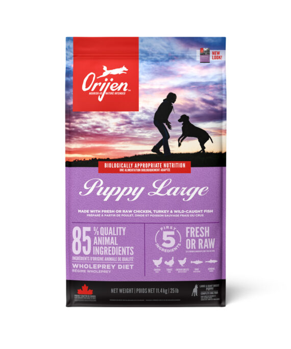 Orijen Large Puppy Dry Food