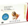 Revolution Large Dog 10 - 20kg