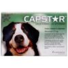 Capstar For Large Dog over 11kg