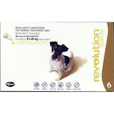 Revolution Medium Dog 5 - 10kg