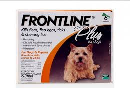 Frontline Plus Small Dog 0 - 10kg