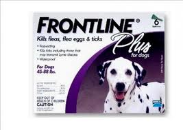 Frontline Plus Large Dogs 20 - 40kg