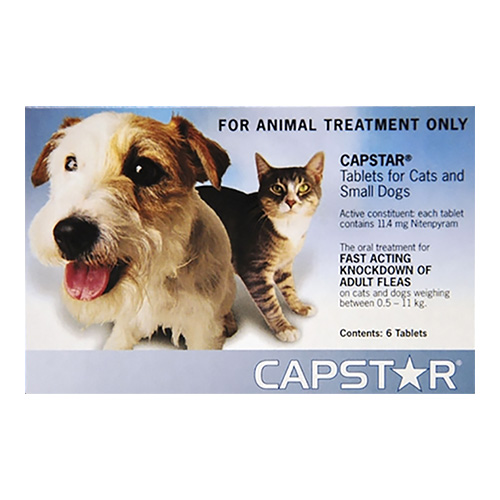 Capstar For Cats and Small dogs under 11kg