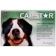 Capstar For Large Dog over 11kg