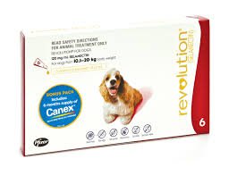 Revolution Large Dog 10 - 20kg
