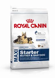 Royal Canin Maxi Starter Mother & Babydog