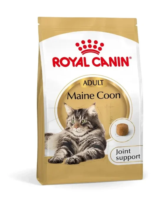 Royal Canin Maine Coon Dry Cat Food