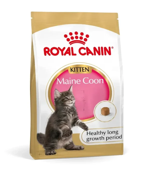 Royal Canin Maine Coon Kitten Dry Cat Food