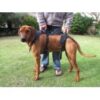 Holisticpet Full Body Harness