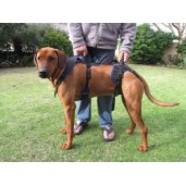 Holisticpet Full Body Harness