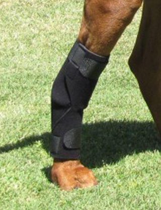 Holisticpet Tarsal Support