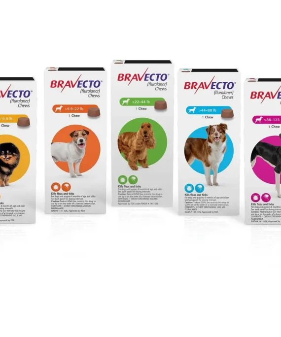 Bravecto Chewable Tick & Flea Tablet